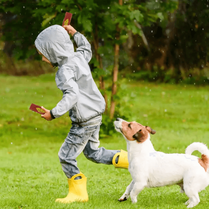 Child Playing with Dog, child running in a raincoat with a dog chasing, natural setting
