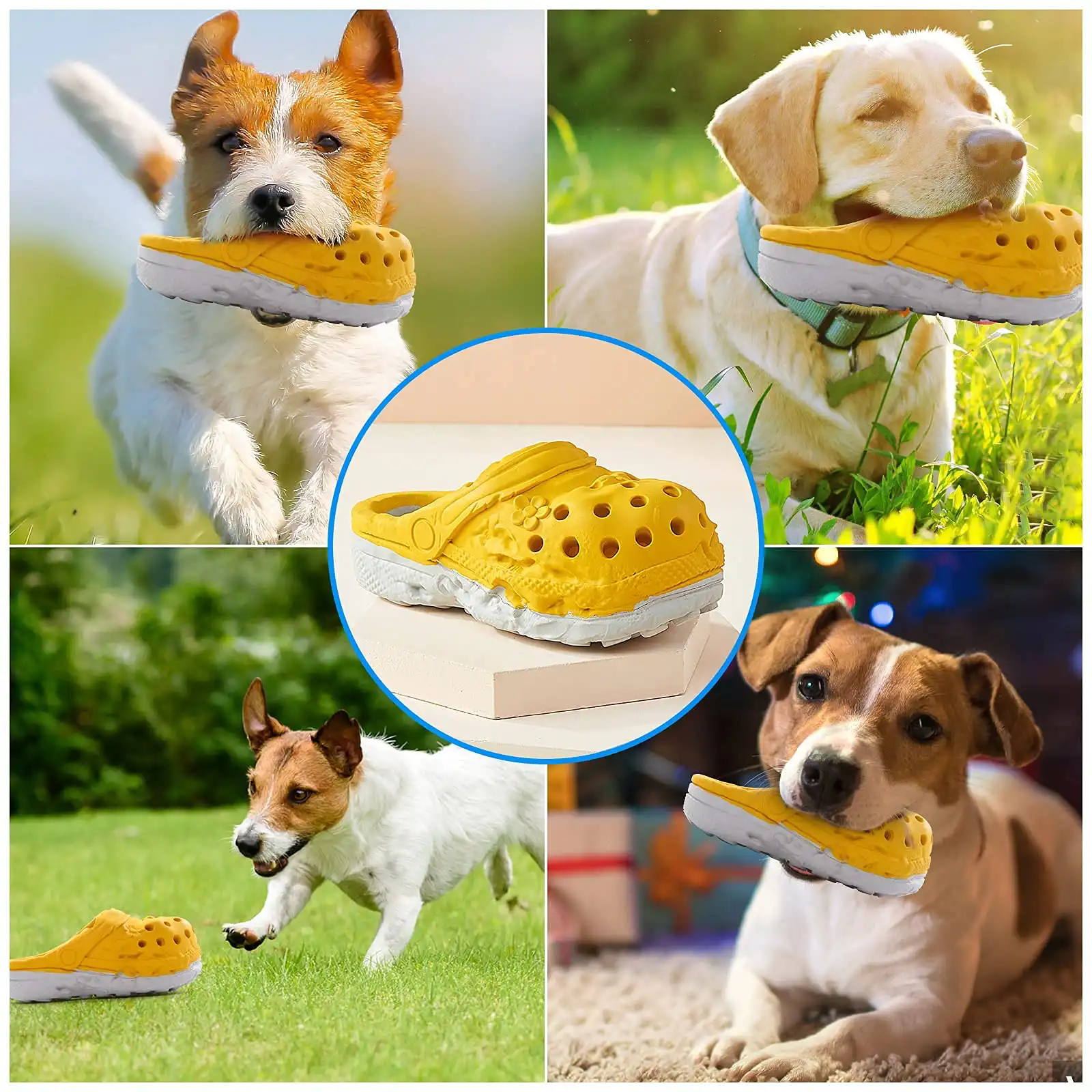 Dog toy social 5