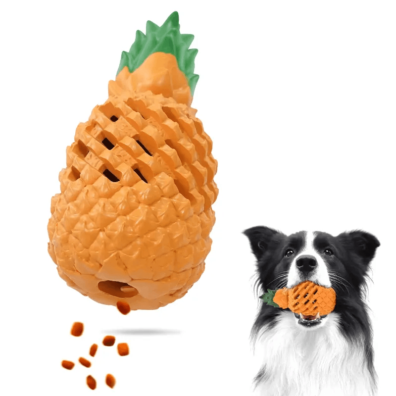 dog chew toys