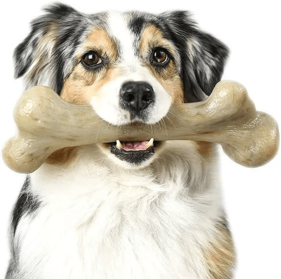 dog chew toys