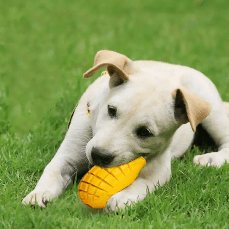 Dog Rubber Toys