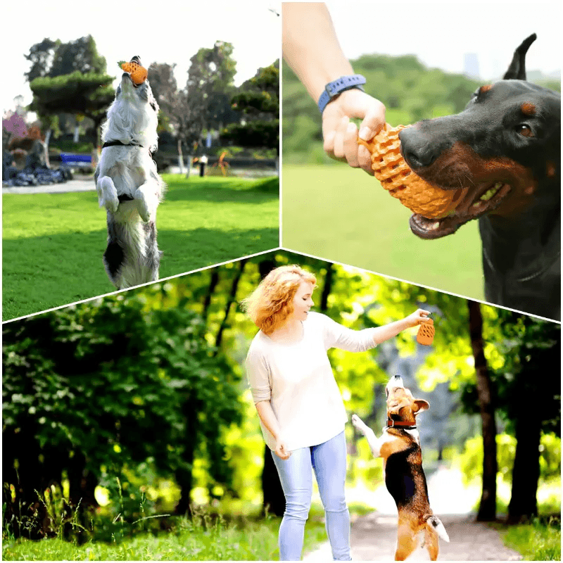 Dog Chew Toys