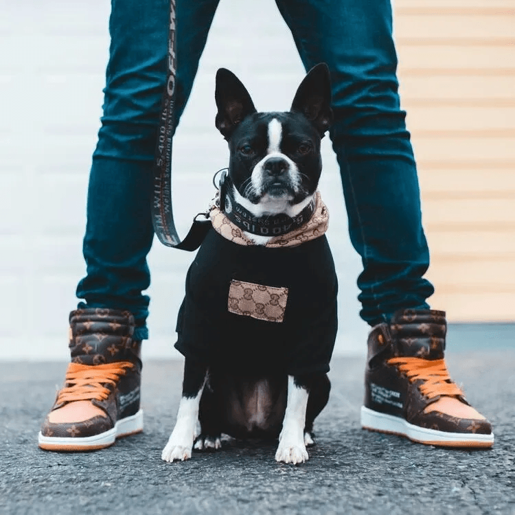 Dog Rubber Toys