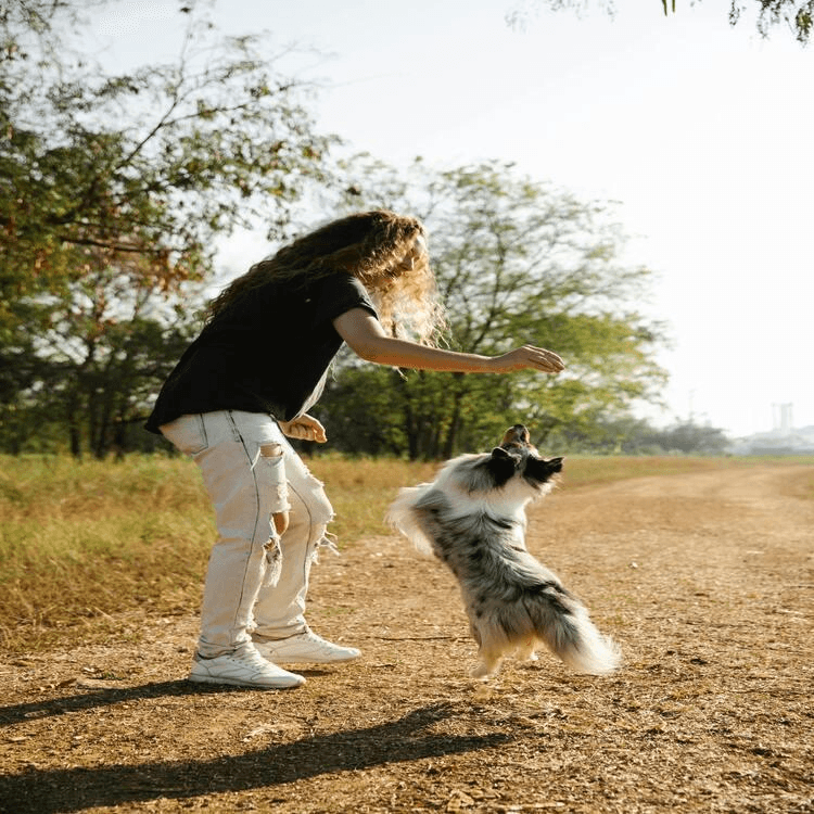 Dog Rubber Toys