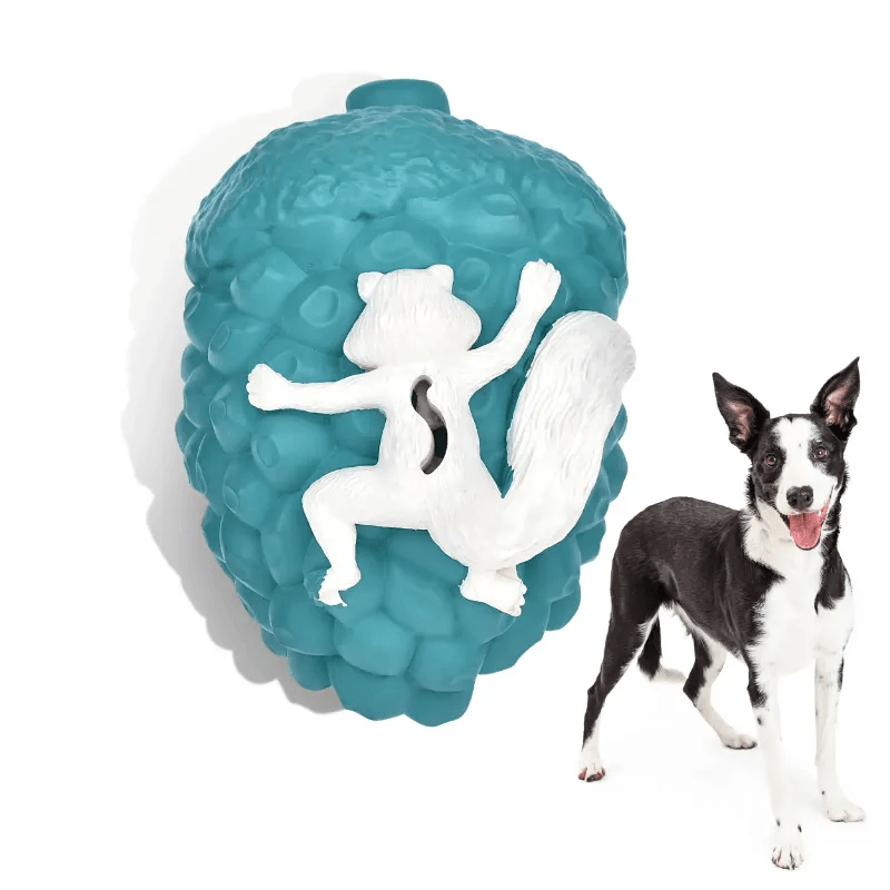 Eco-friendly Dog Toy