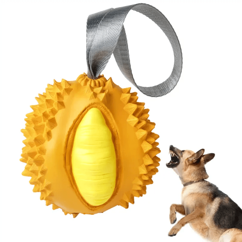 Recyclable Dog Toys