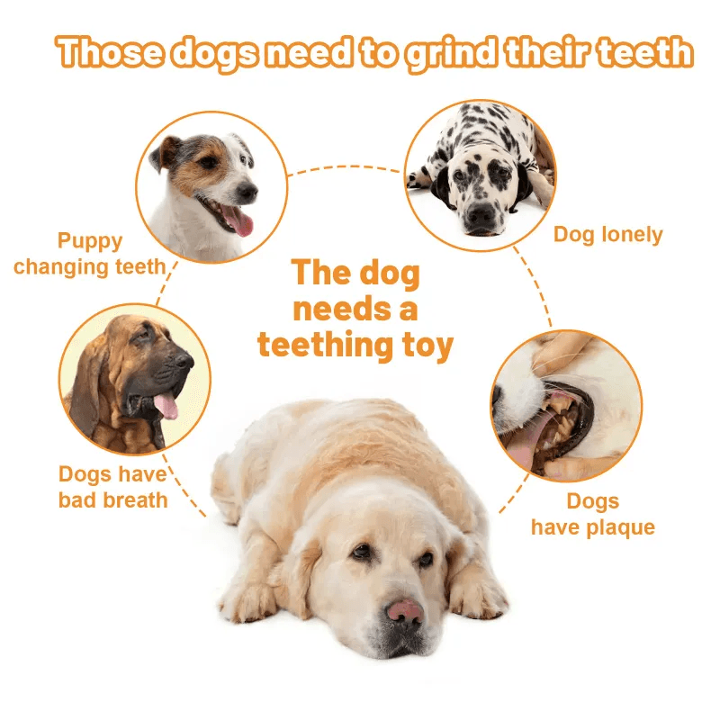 Eco-friendly Dog Toys