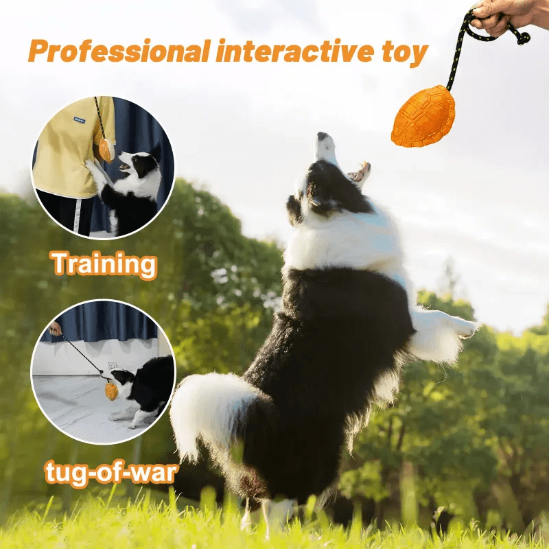 Eco-friendly Dog Toys