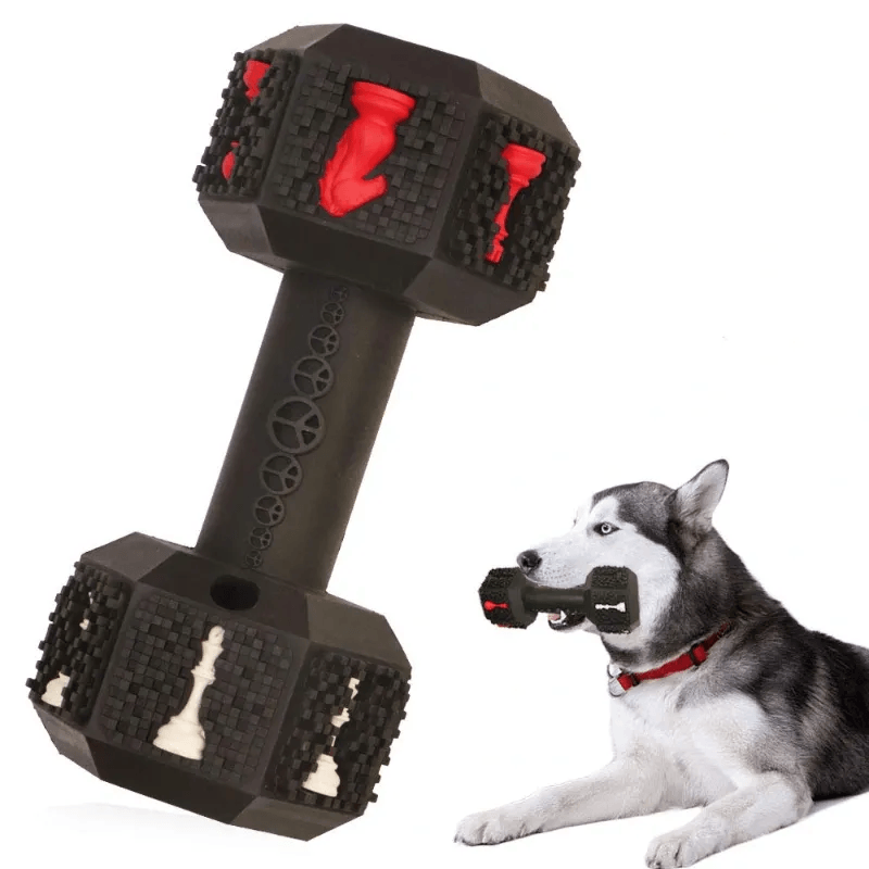 Eco-friendly Dog Toys